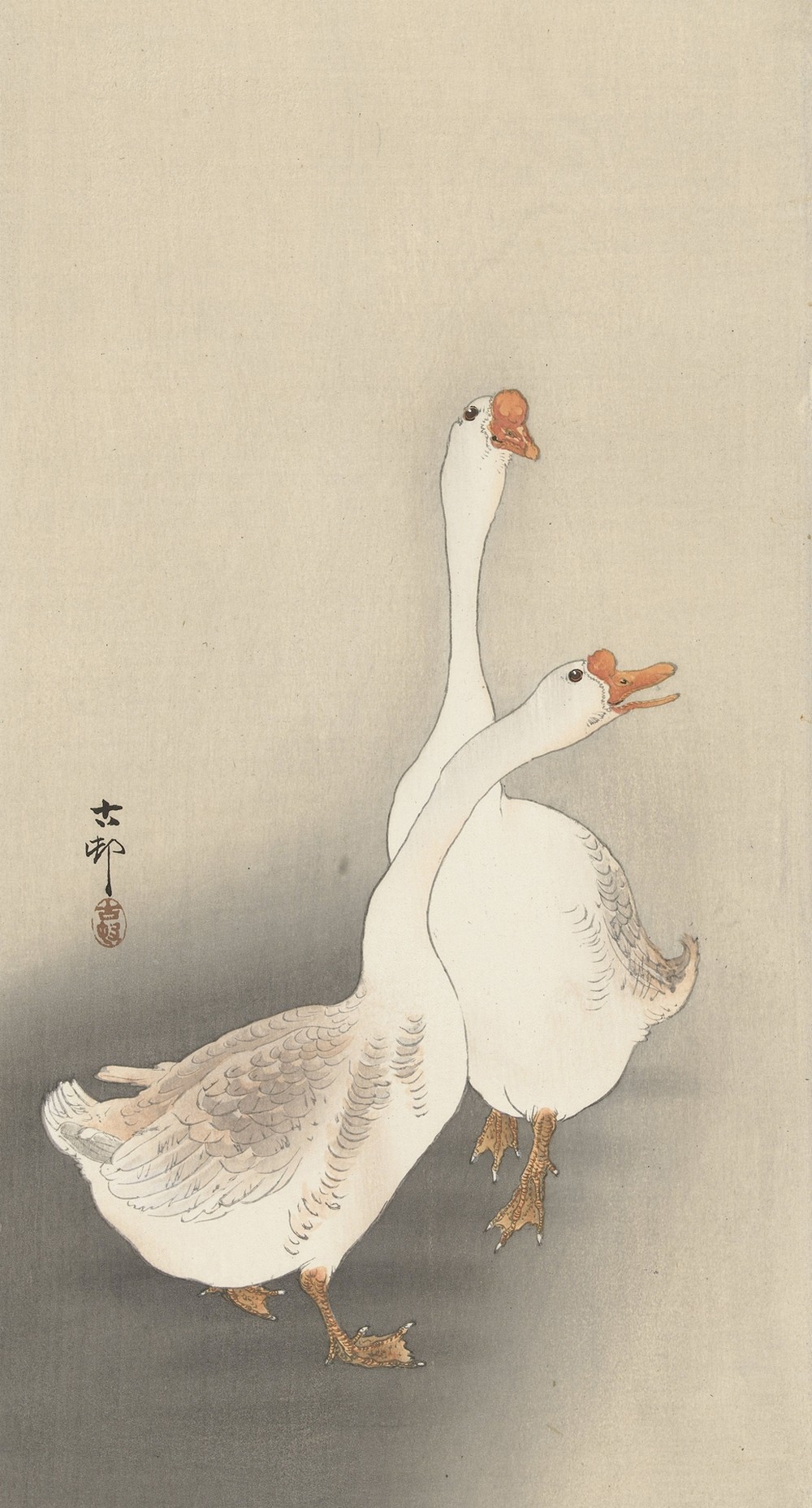 Two geese.