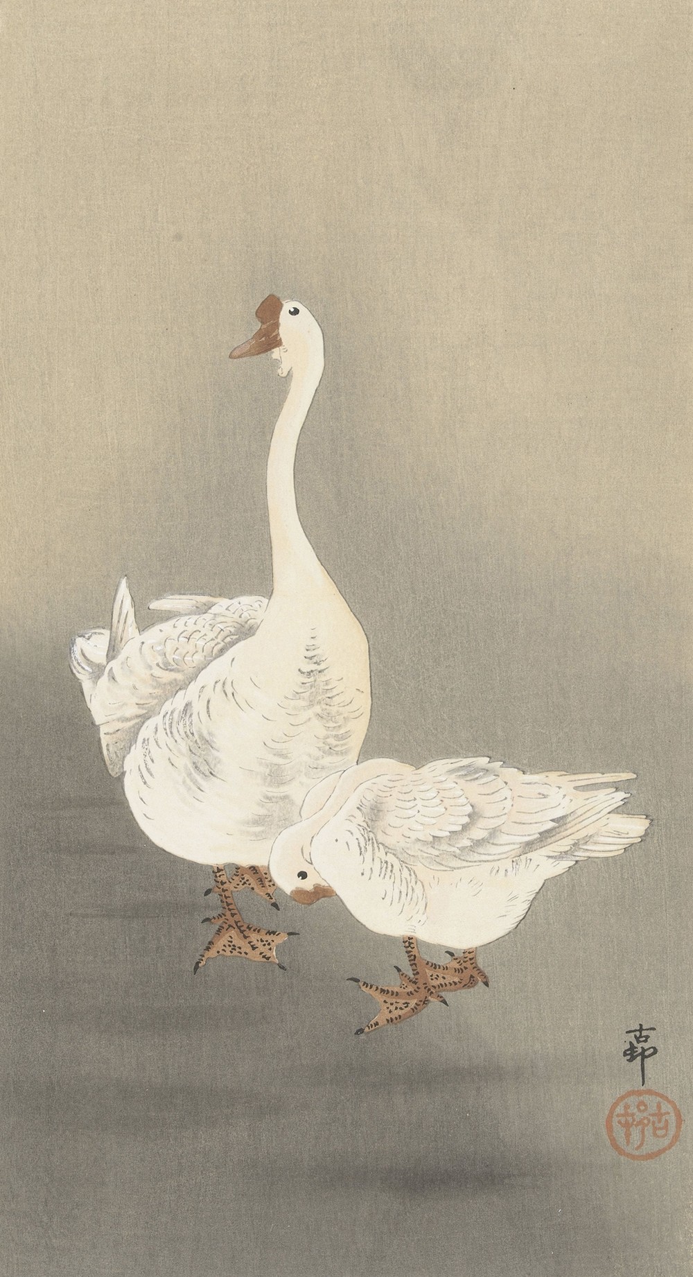 Two geese