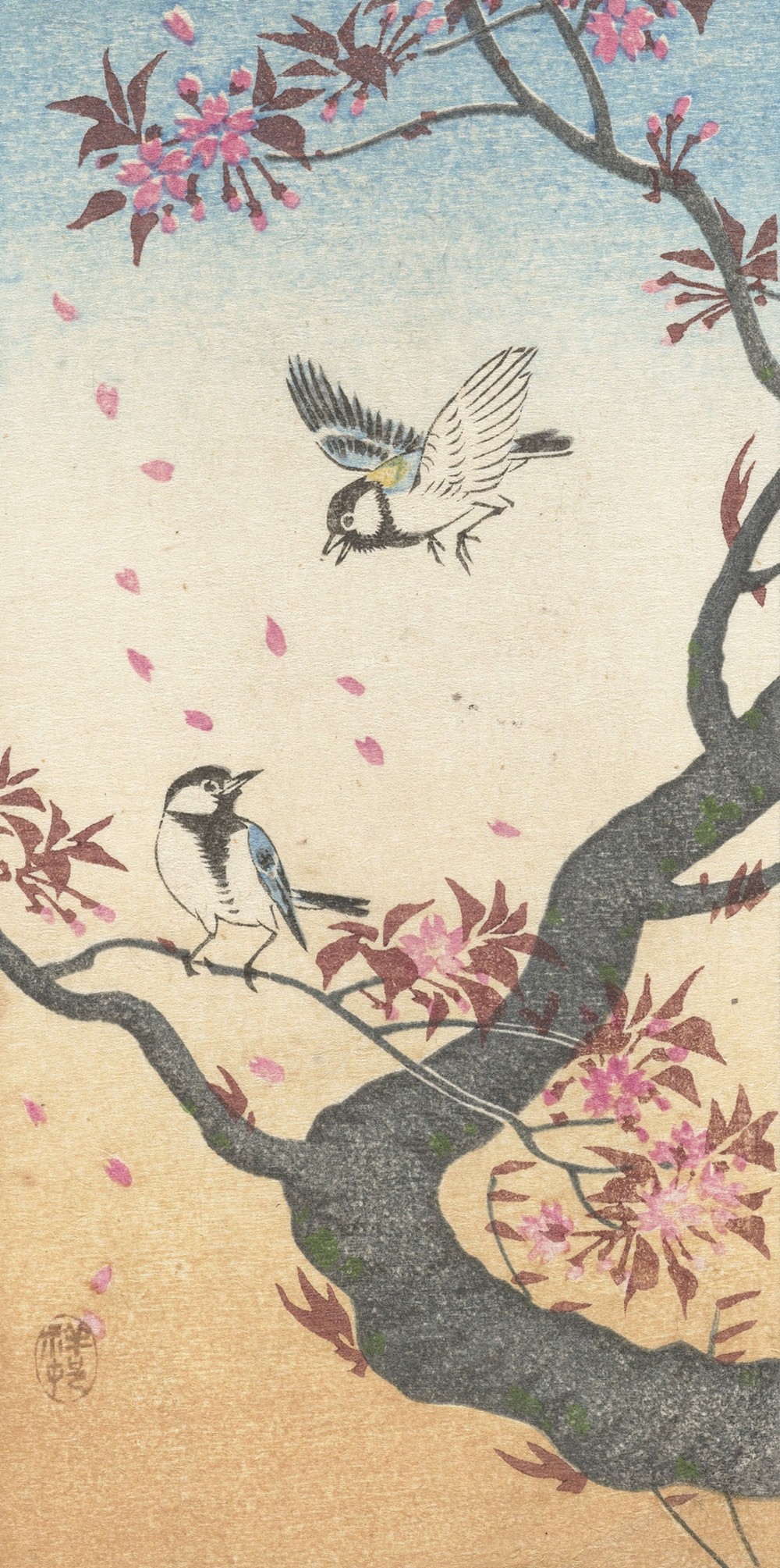 Two great tits at blossoming tree