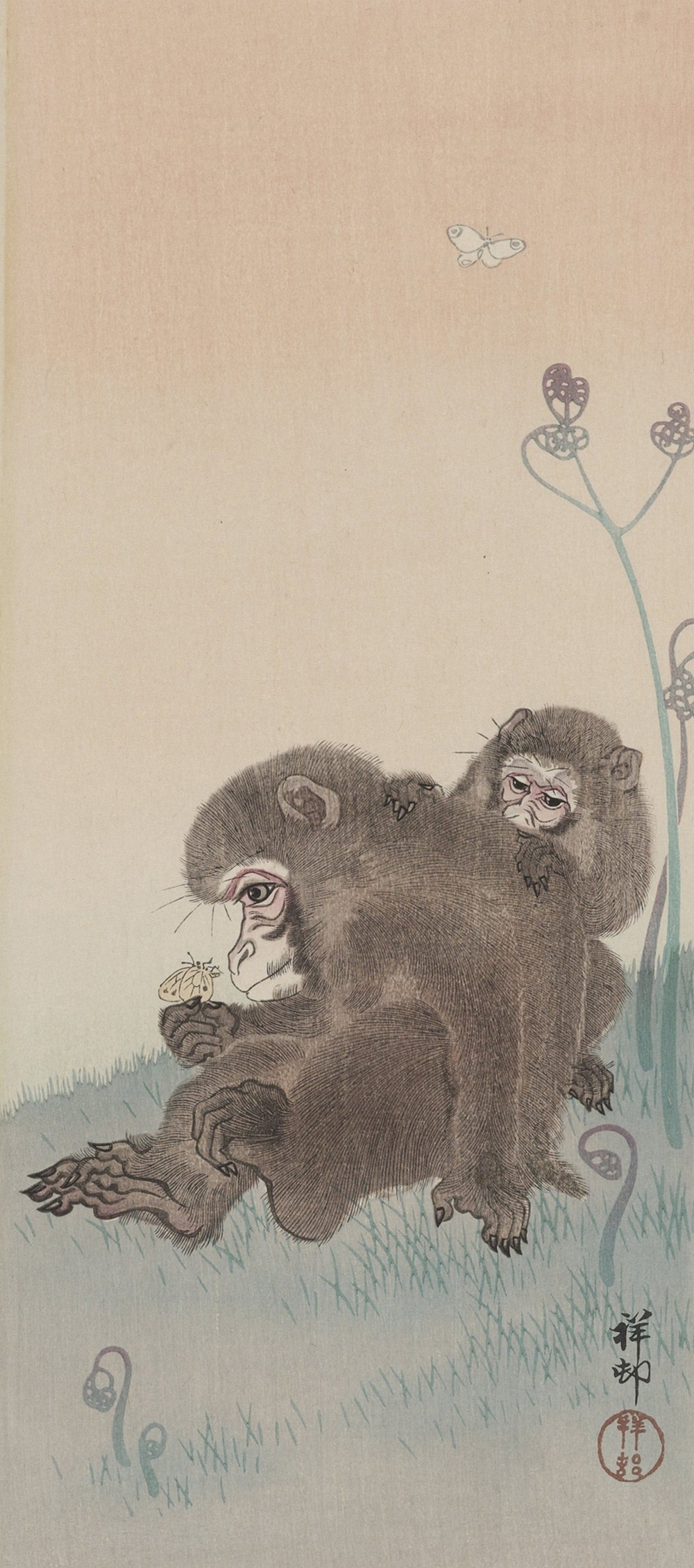 Two monkeys with butterfly