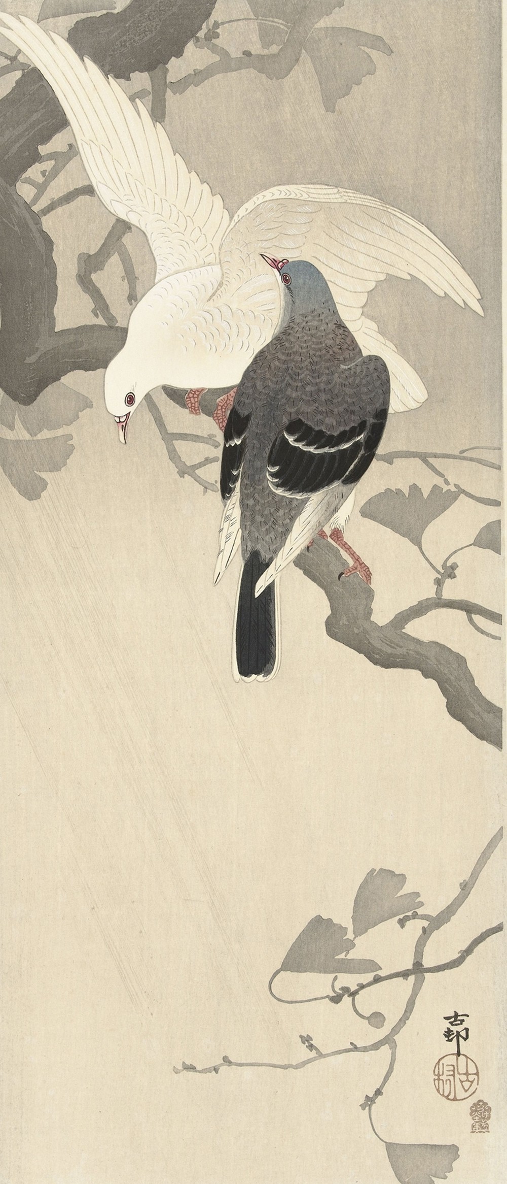 Two pigeons on a branch