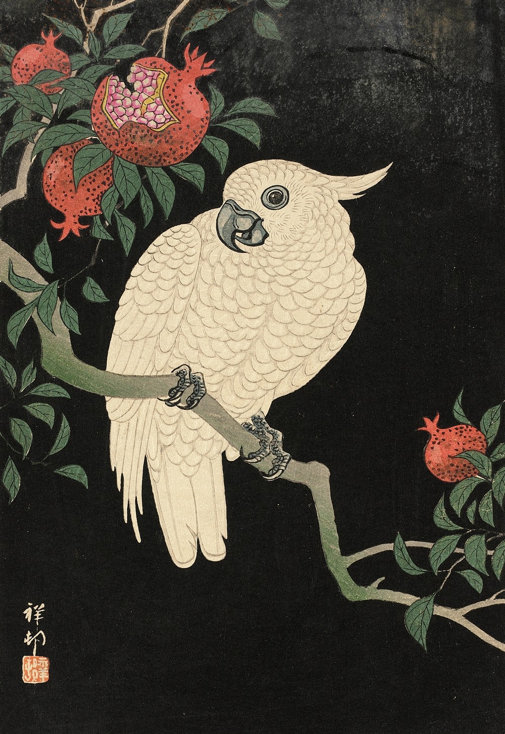 Cockatoo And Pomegranate (20th Century)