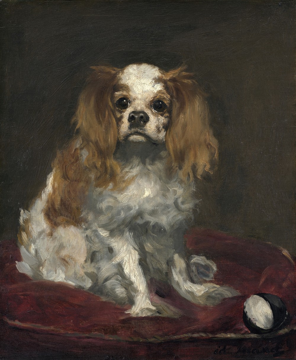 A King Charles Spaniel (c. 1866)