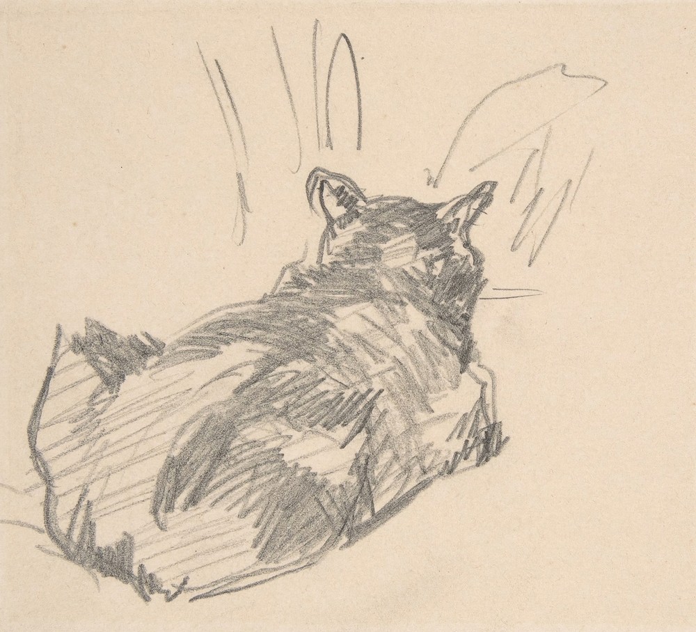 A Cat Resting on All Fours, Seen from Behind