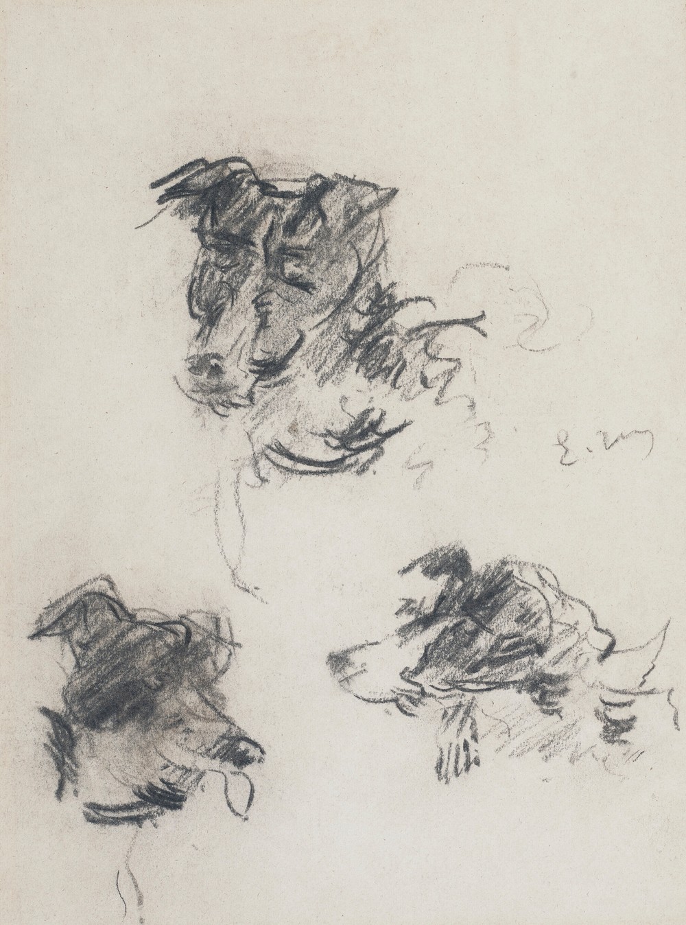 Têtes de chiens