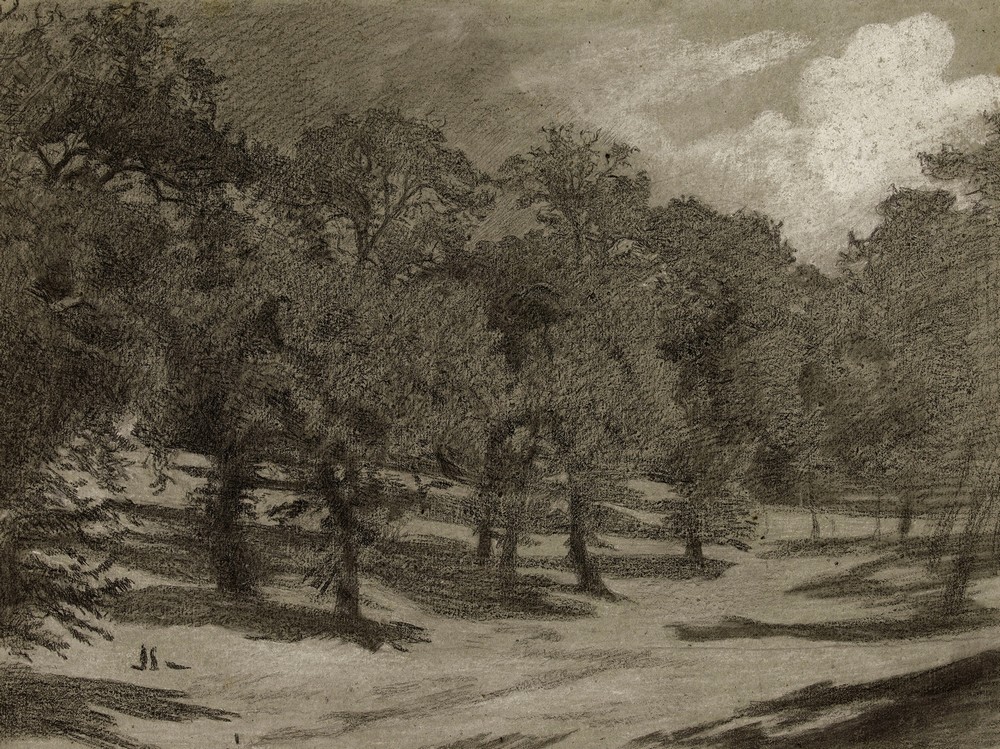 Paysage – orée d’un bois