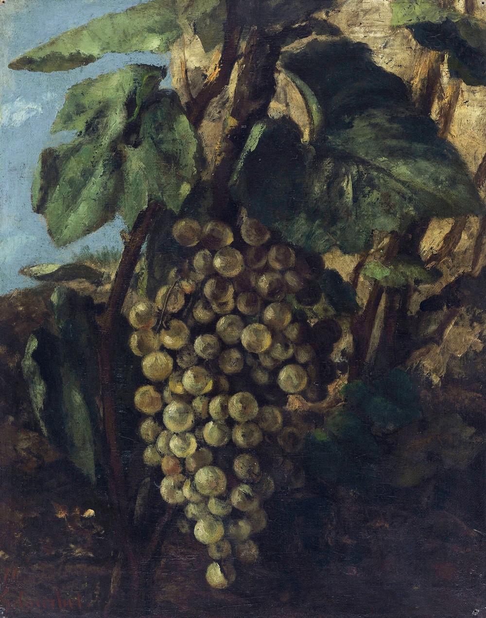 Grappe De Raisins