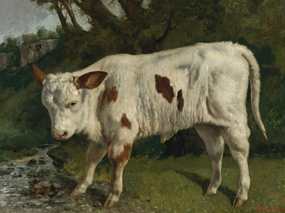 Le Veau Blanc