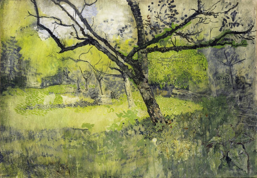 Orchard at Eemnes