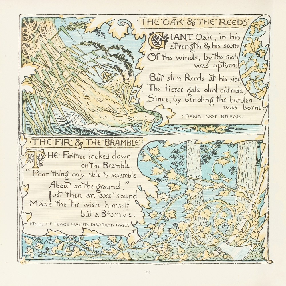 The Oak and the Reeds, The Fir and the Bramble