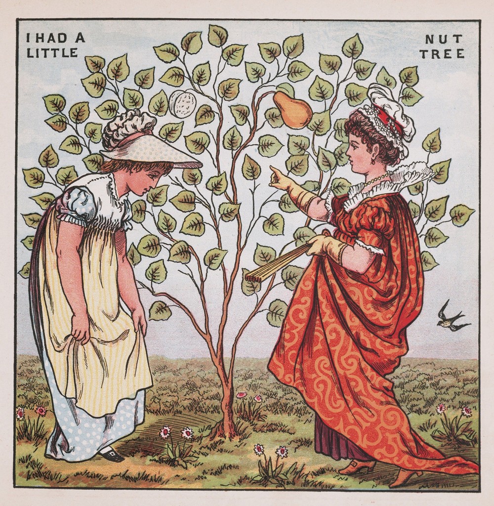 I had a little nut tree