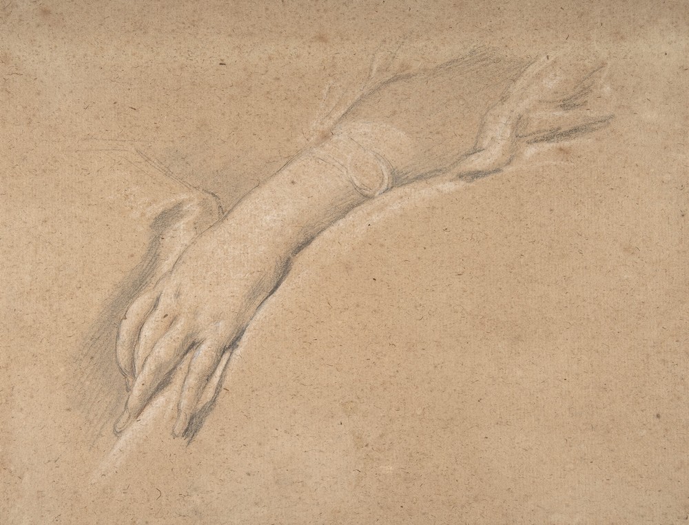 Study of the left hand of Mme de Pompadour