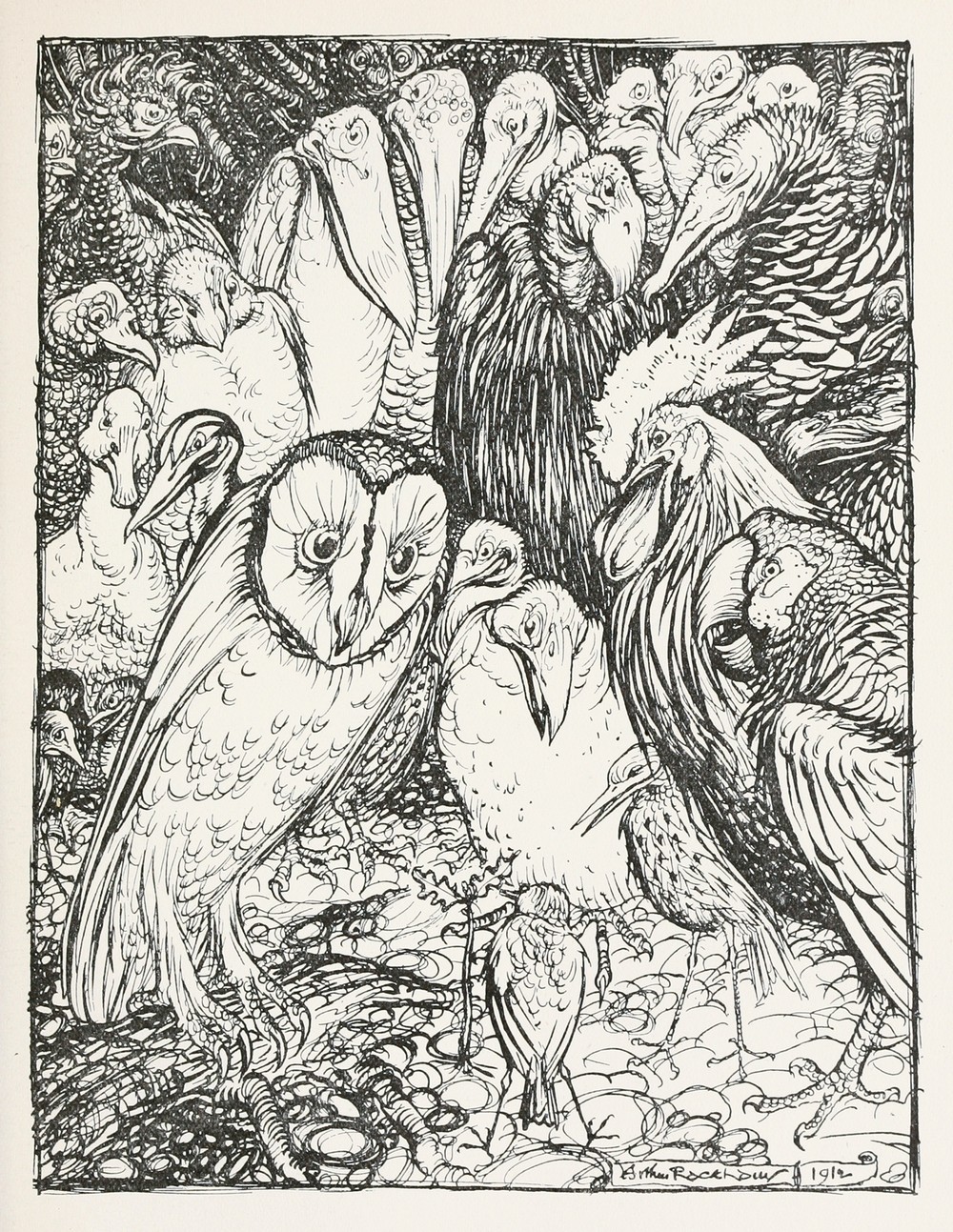 The Owl and the Birds