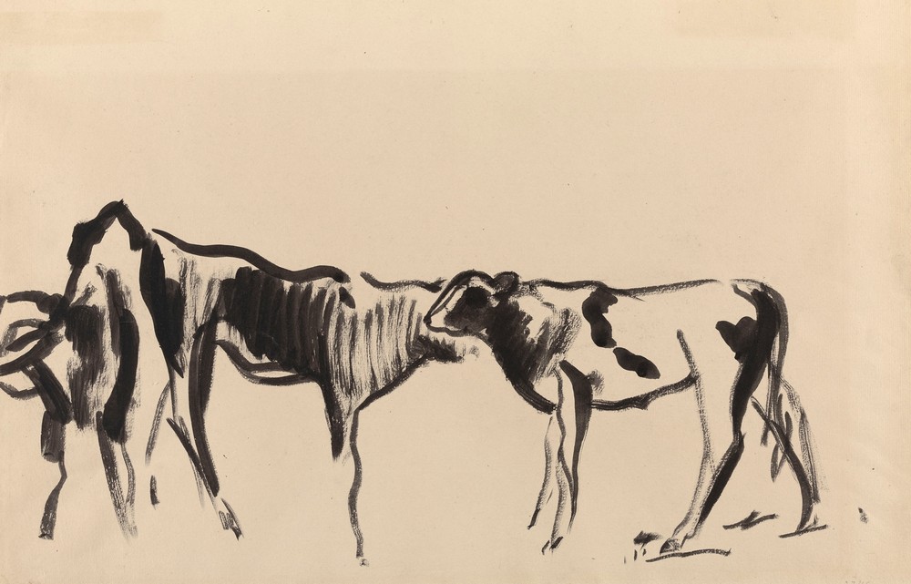Calves