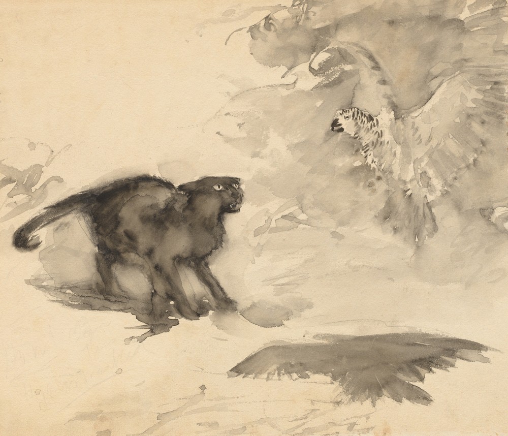 The Cat and the Eagle