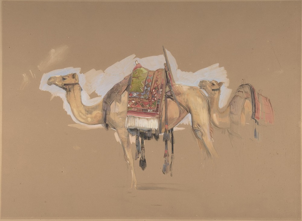 Two Camels (ca. 1843)