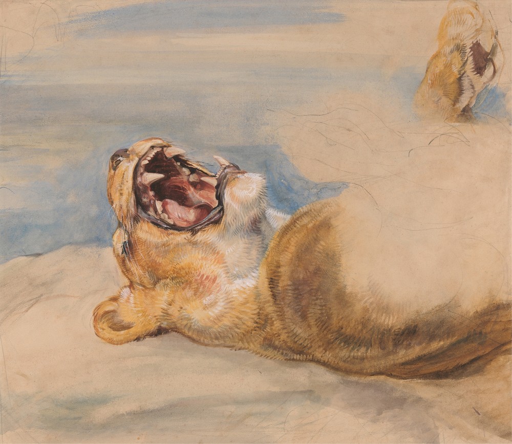 Study of a Lioness (ca. 1824)
