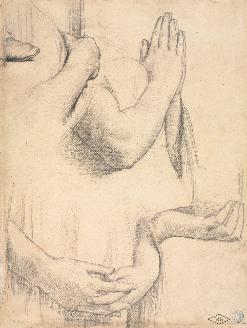 Study of Hands