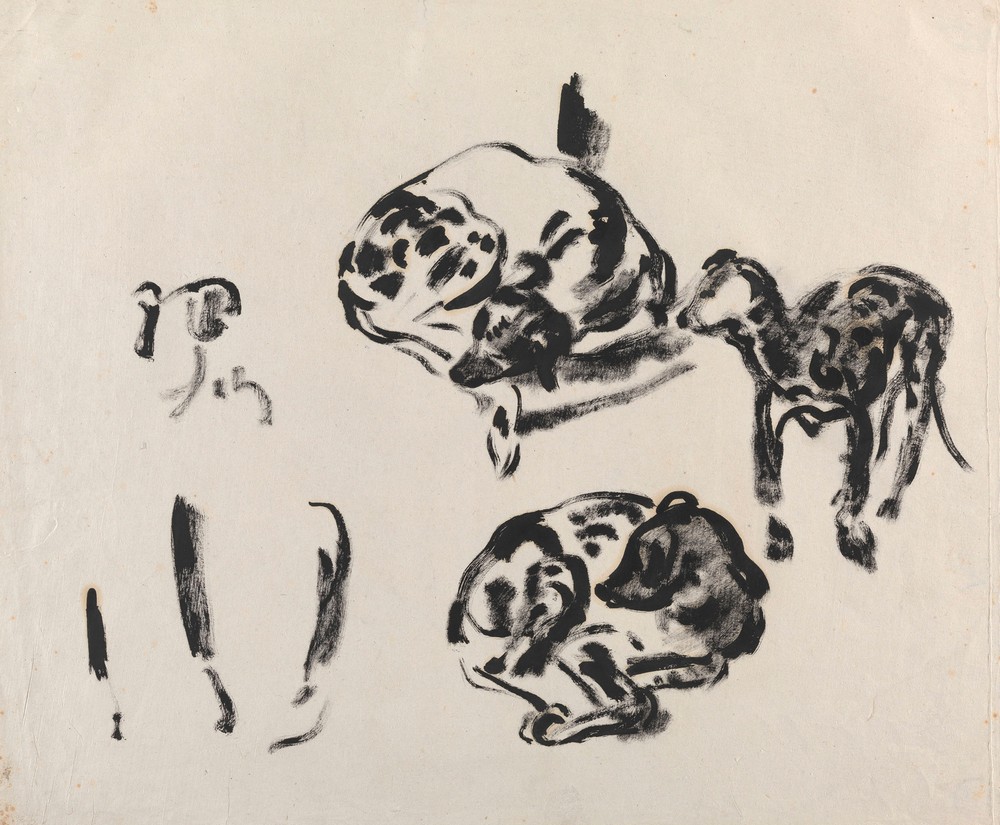 Study of Dogs