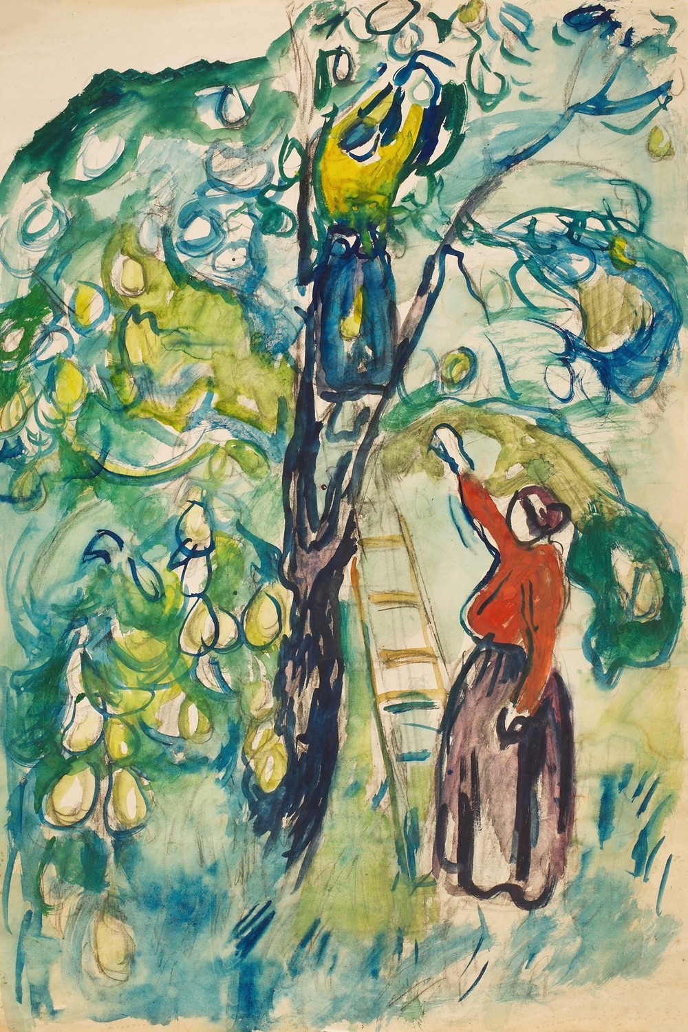 Kvinner høster frukt (ca 1920)