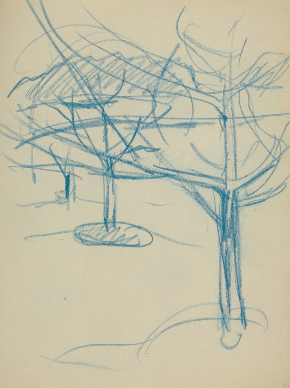 Untitled 19