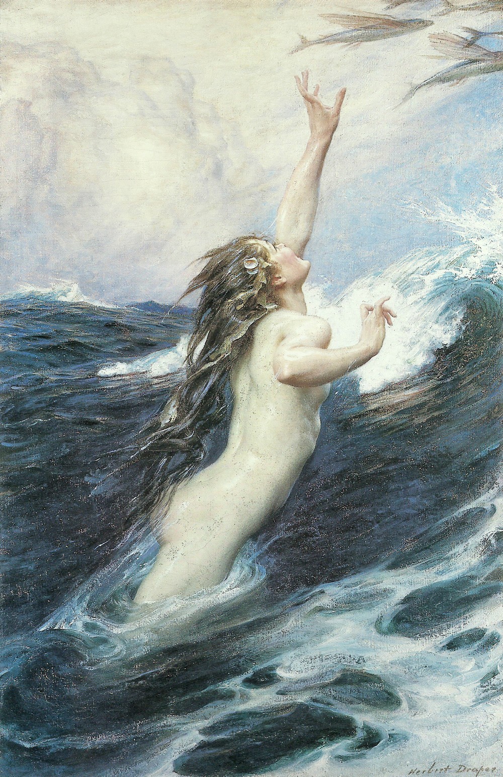 Flying Fish (Circa 1910)