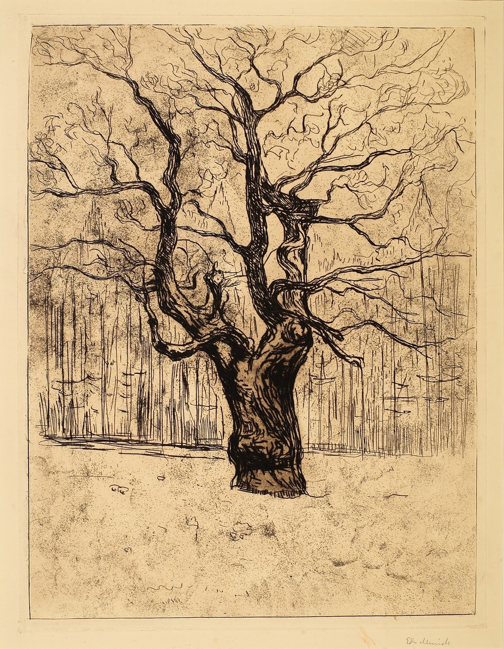 The Oak