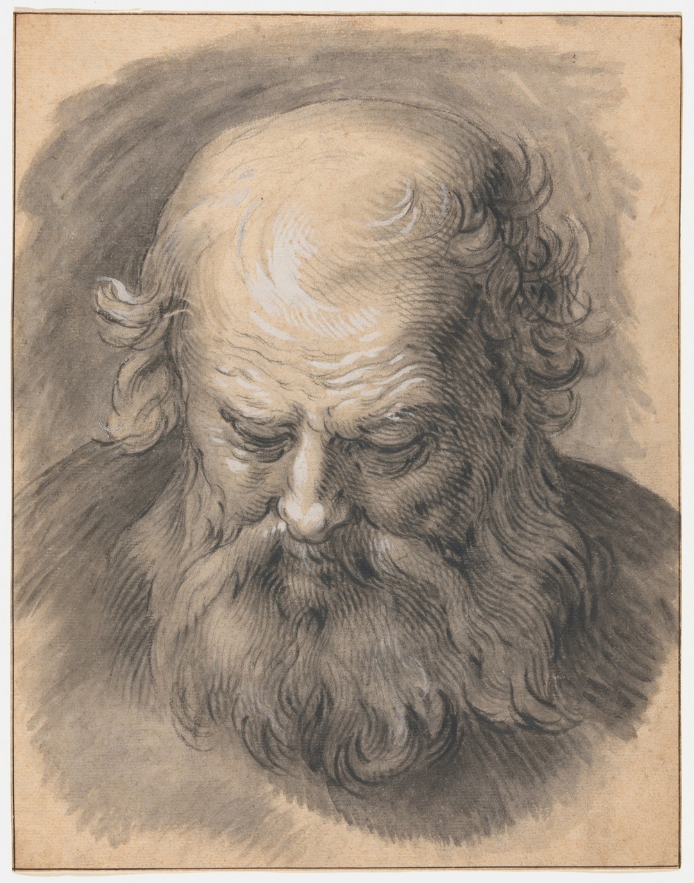 Study of the Head of a Bearded Man