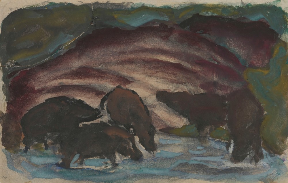 Wild Boars in the Water