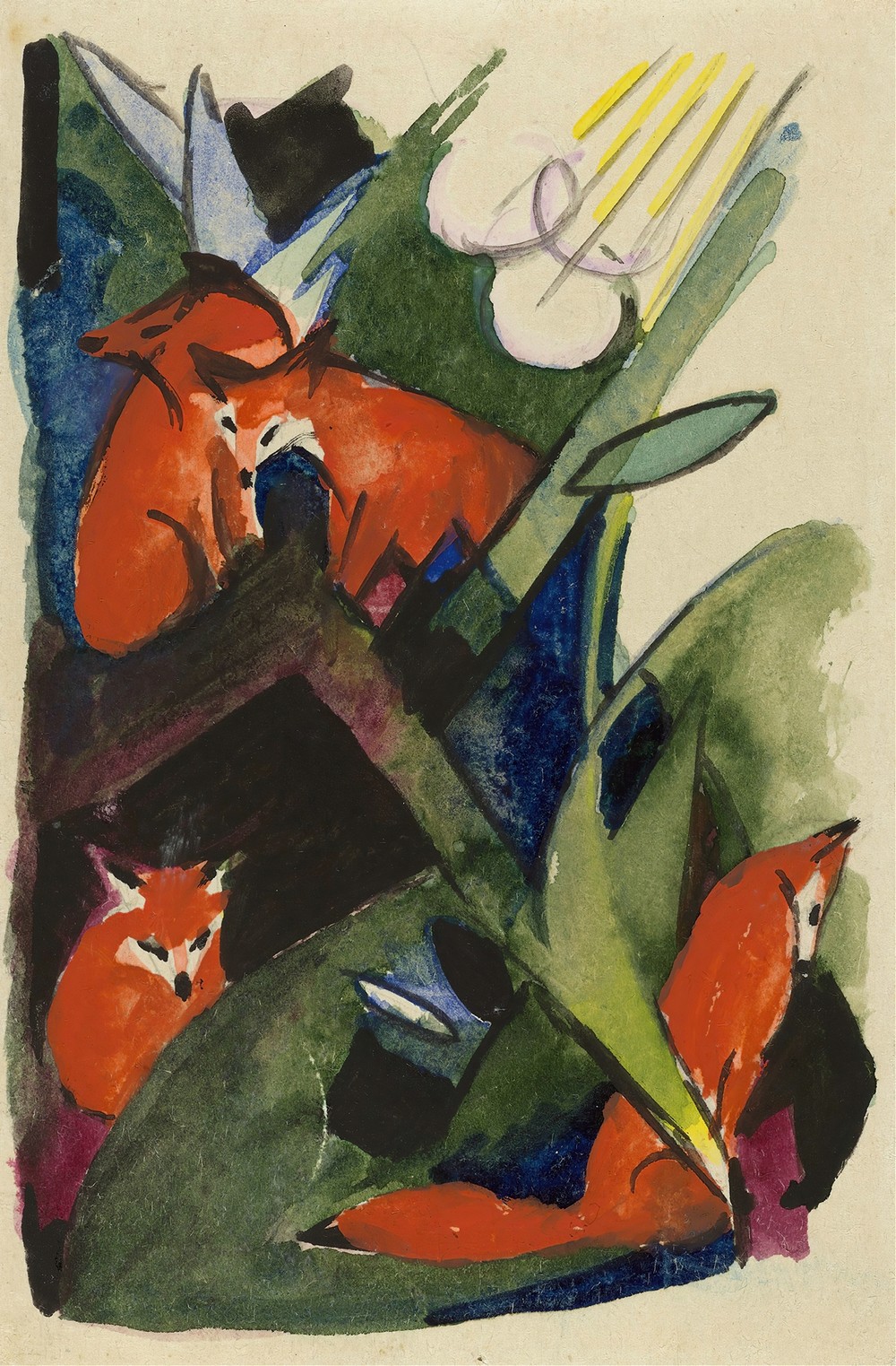 Four foxes