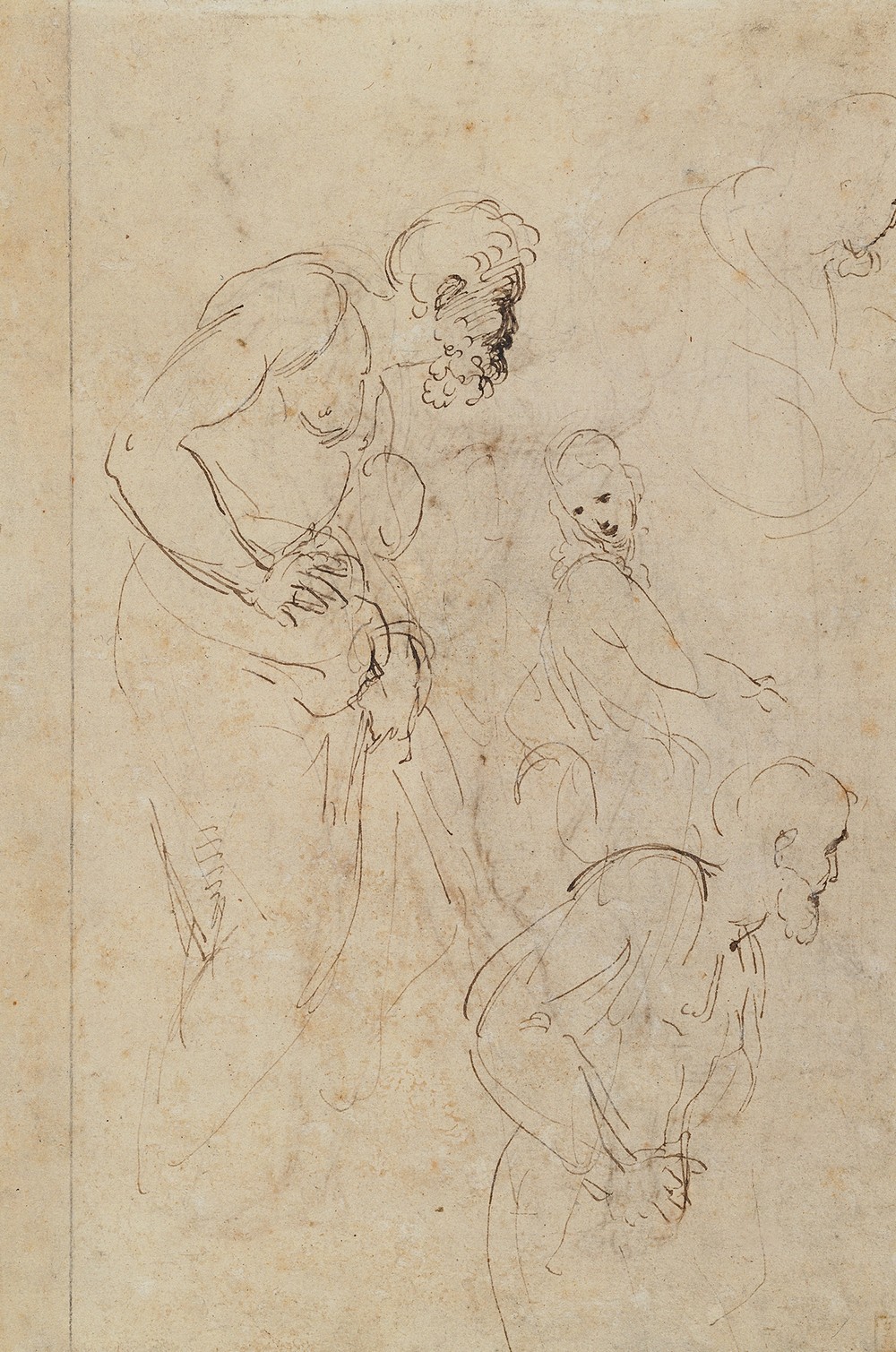 Studies for the Disputa