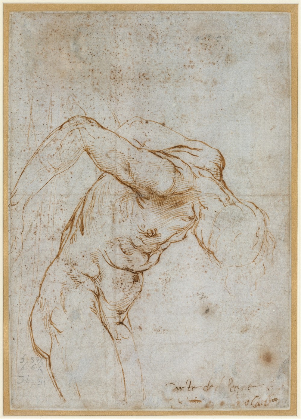 Study of a Nude Male Figure (ca. 1506–7)