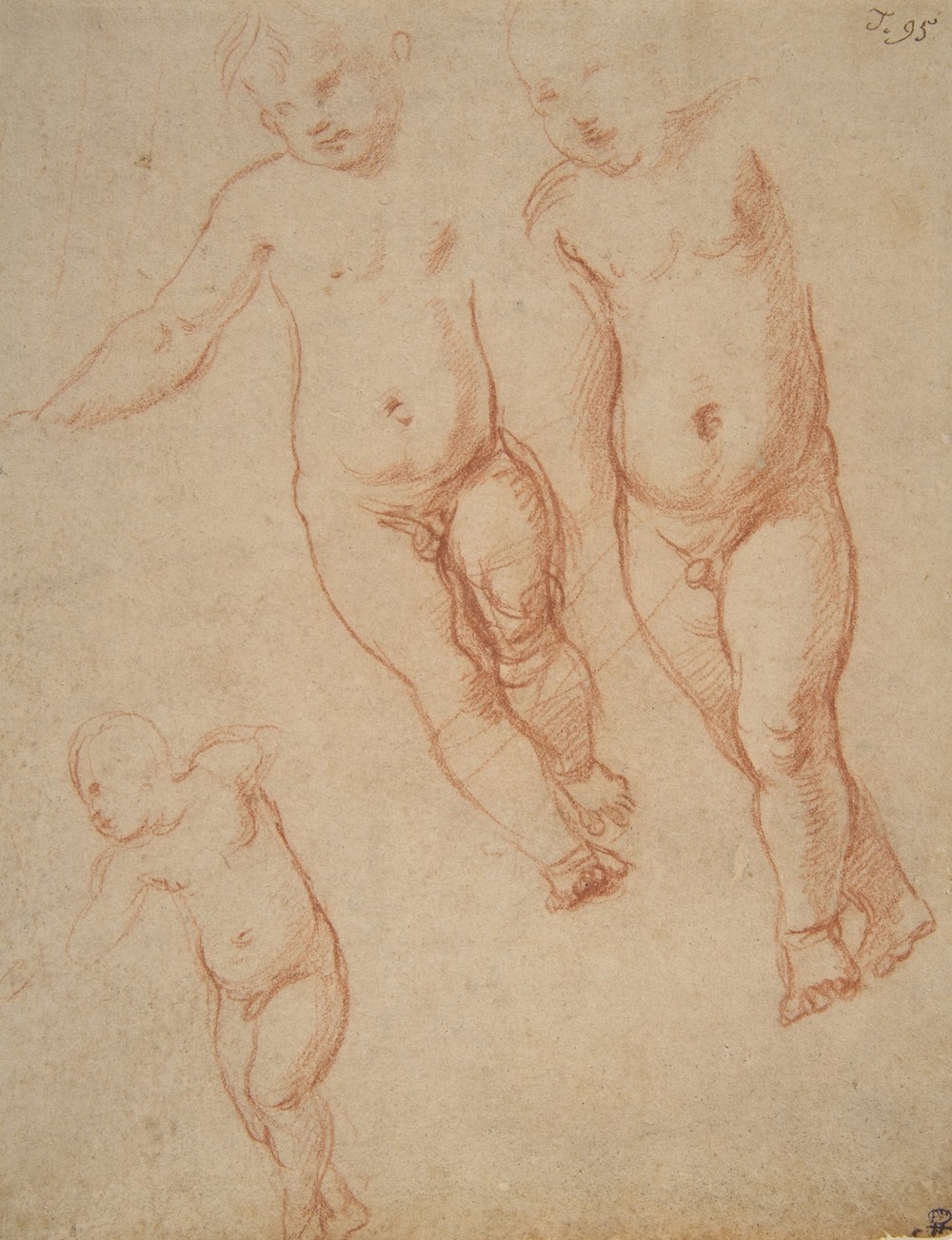 Studies of the Christ Child (1513–14)