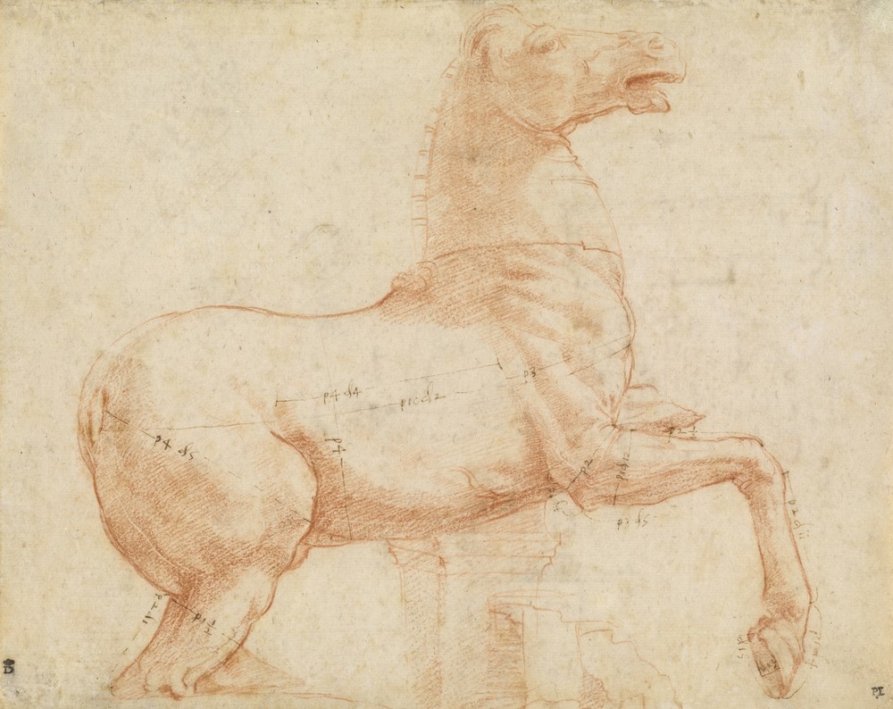 A Marble Horse on the Quirinal Hill (recto) (c. 1513)