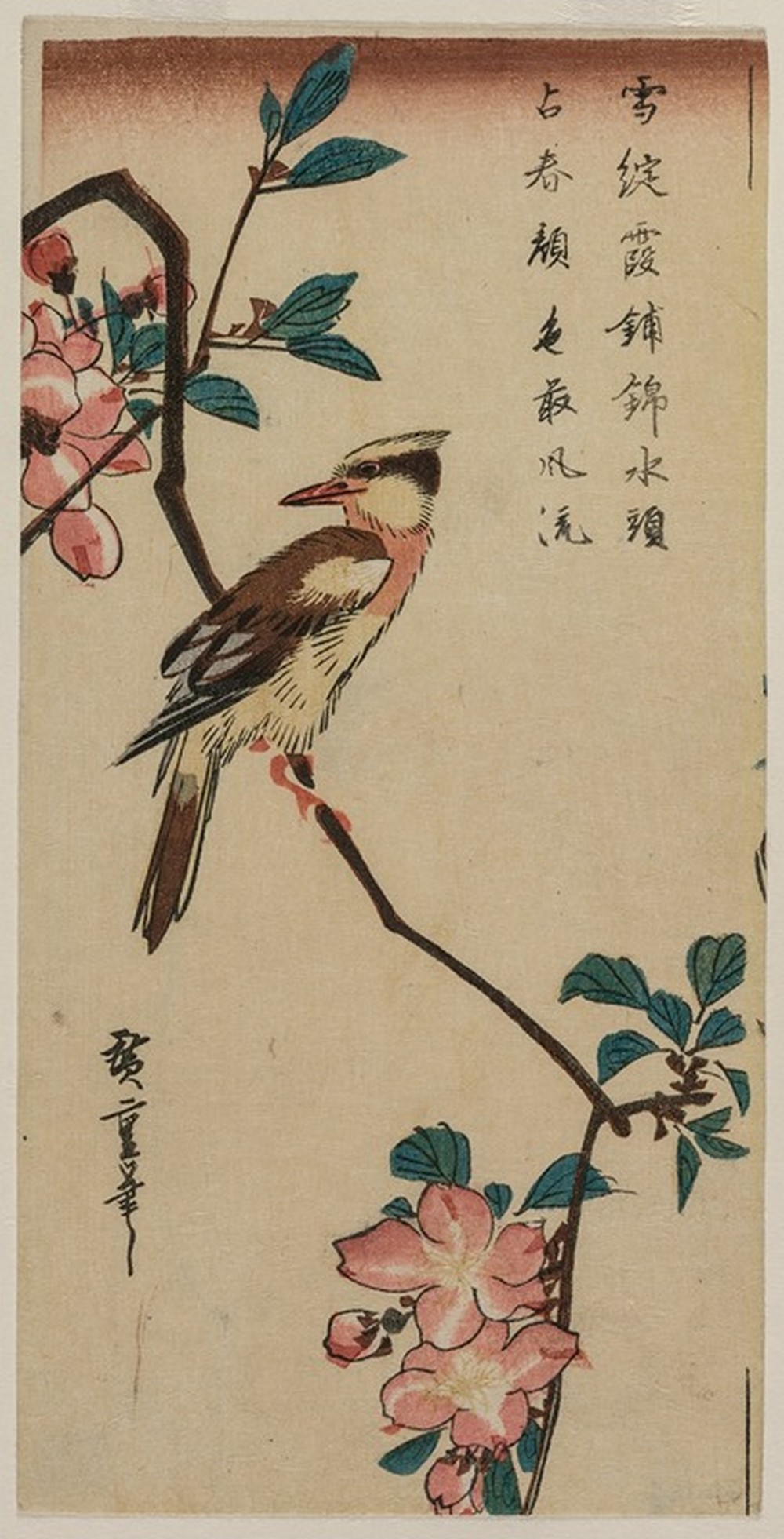 Black-Naped Oriole (Korean Warbler) on a Hall Crabapple (1832-35)