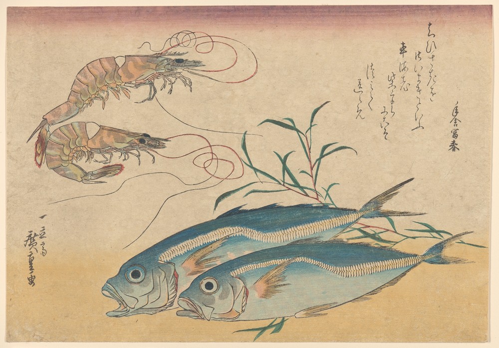 Kuruma Ebi, Aji Prawns, and Horse Mackerel (19th century)