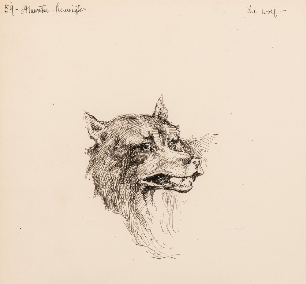 Illustration for The Song of Hiawatha