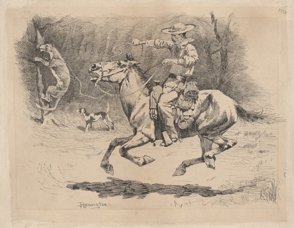 Spurring His Horse in Pursuit