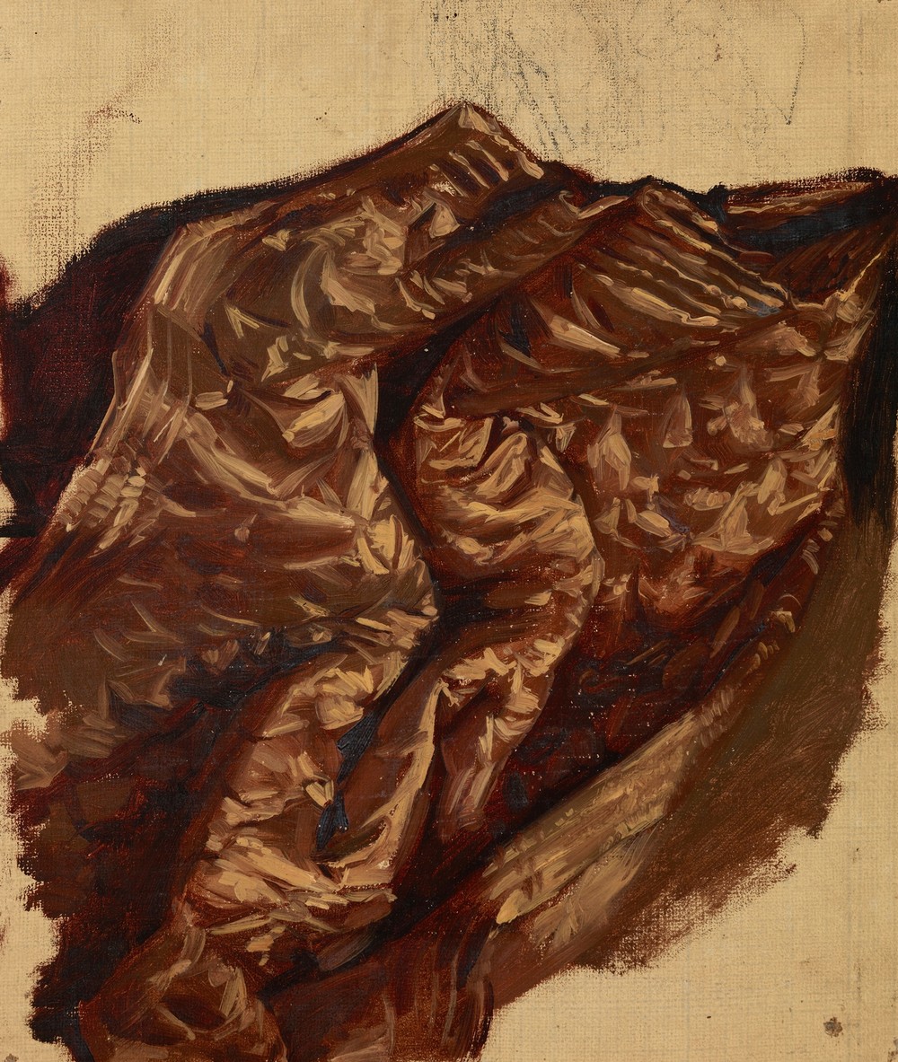 Study of a Brocade Hanging (before 1860)