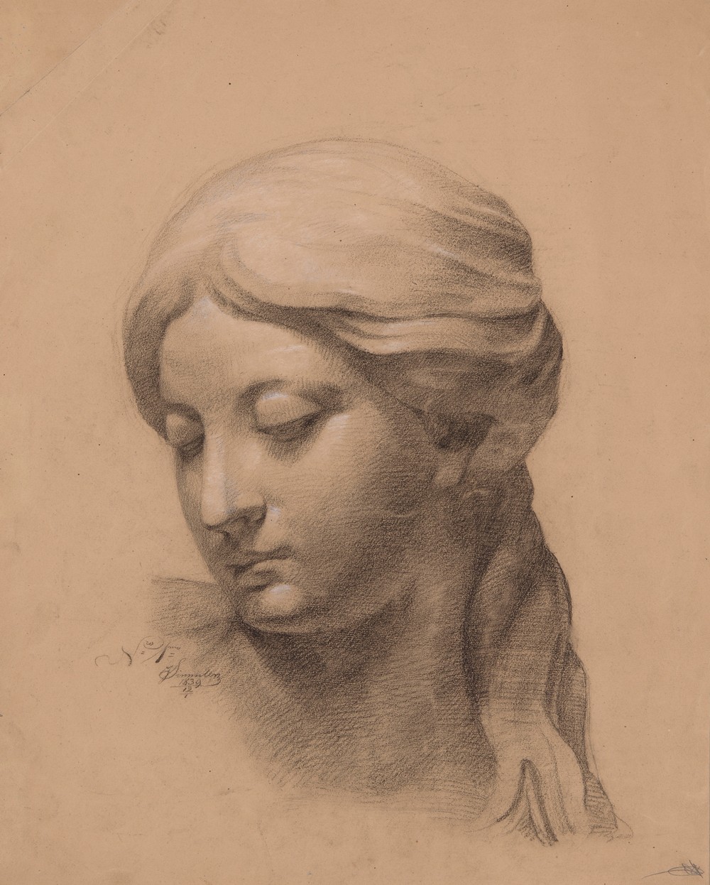 Female head, sculpture study