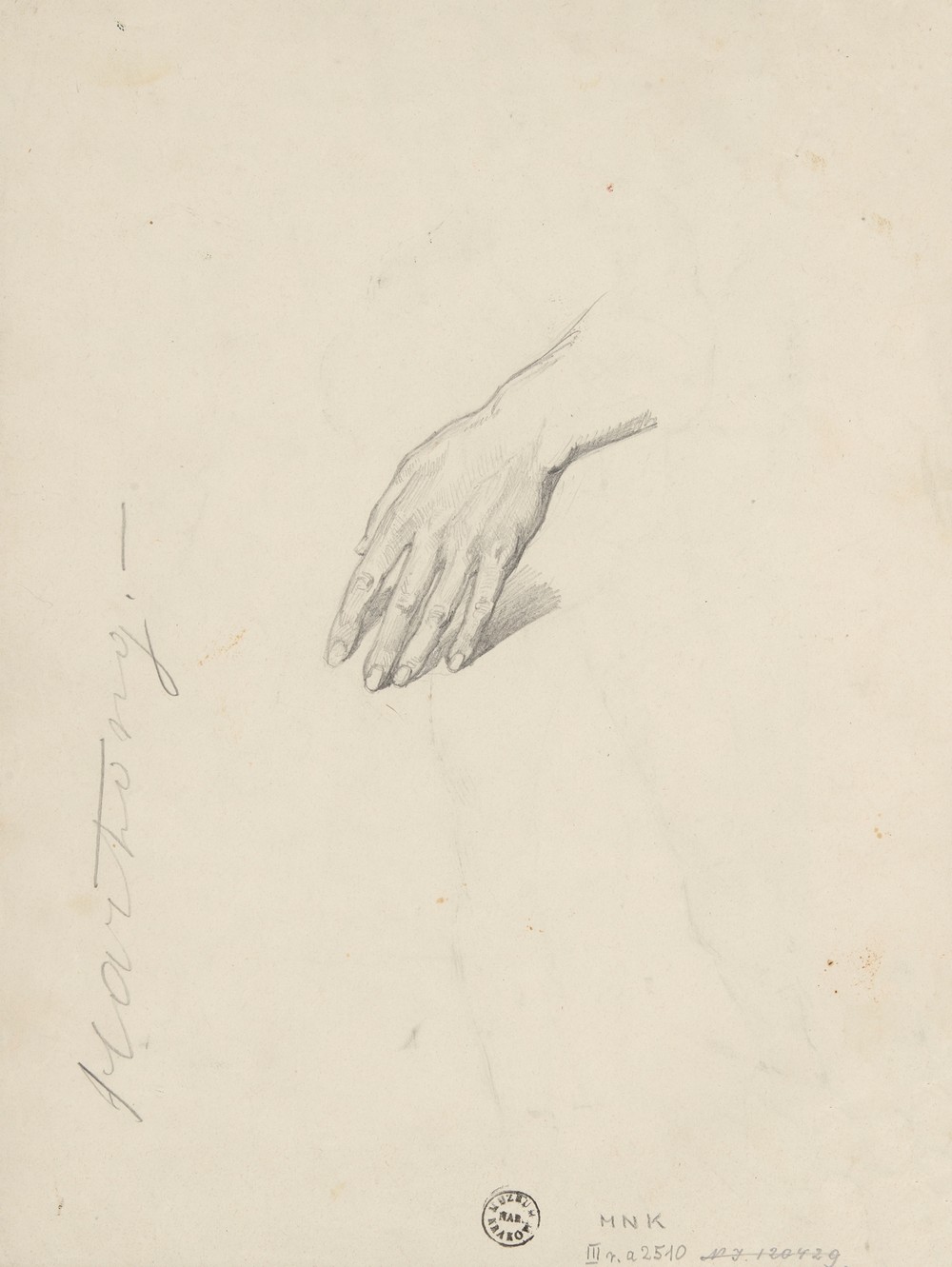 Hand study