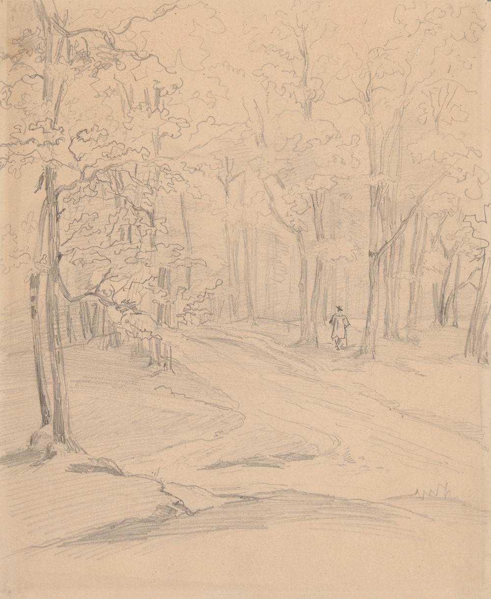 Road in the woods