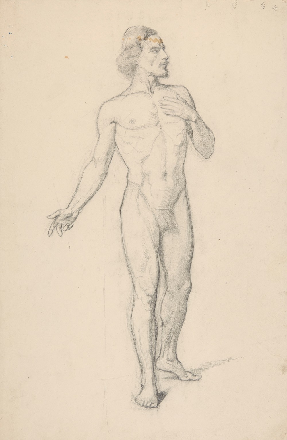 Study of a nude male