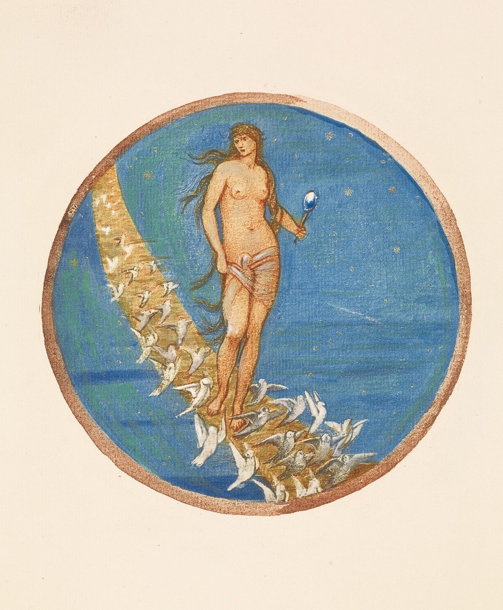 Rose of Heaven