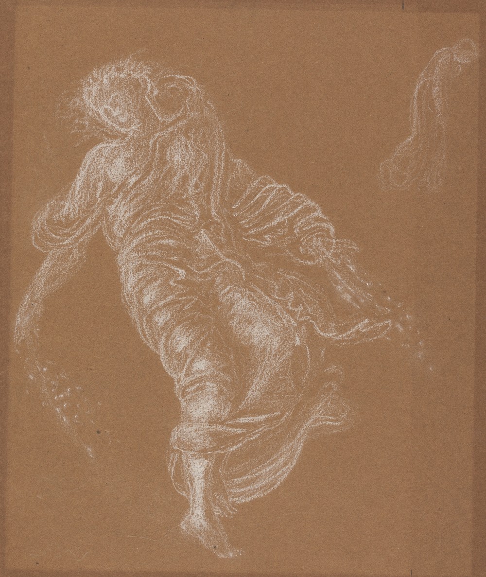 Flora