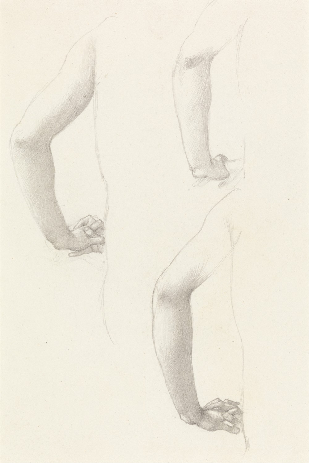 Studies of an Arm and Hands