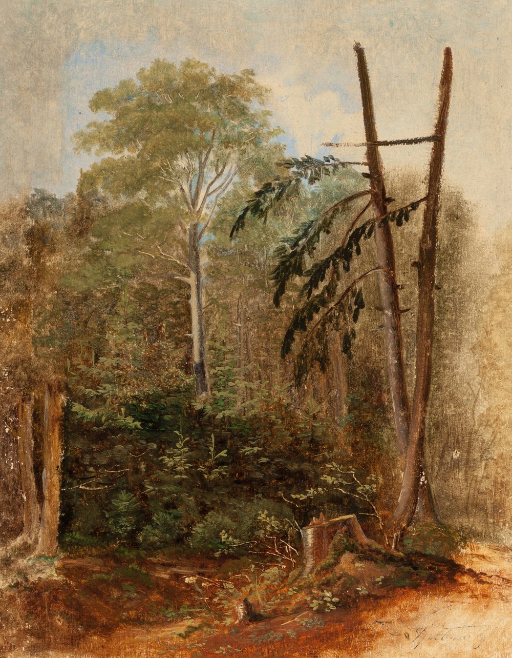 Study of a Woodland Landscape