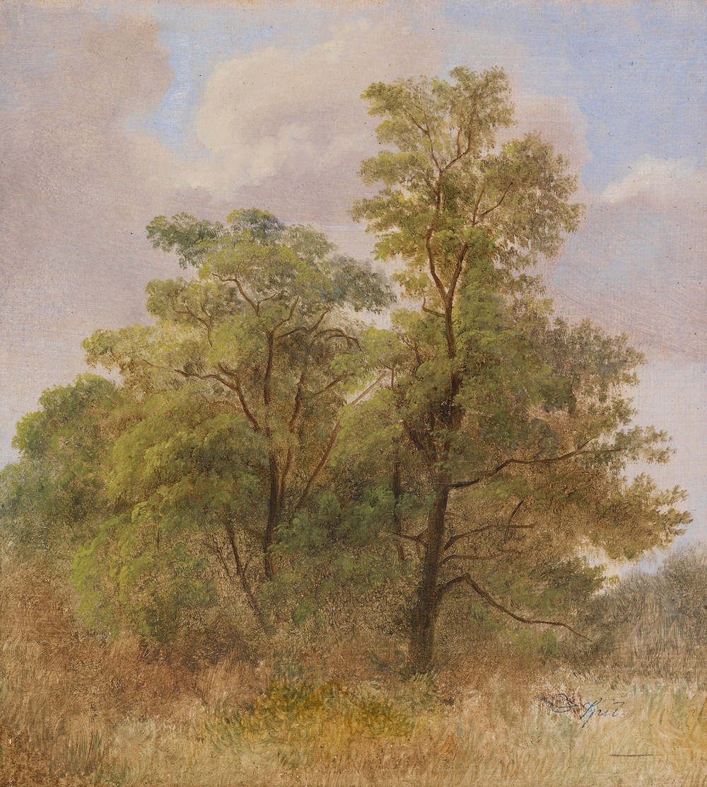 Baumstudie (Ca. 1831-1835)