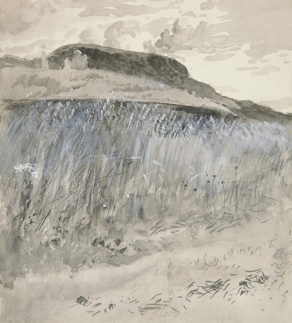 Landscape – Fields