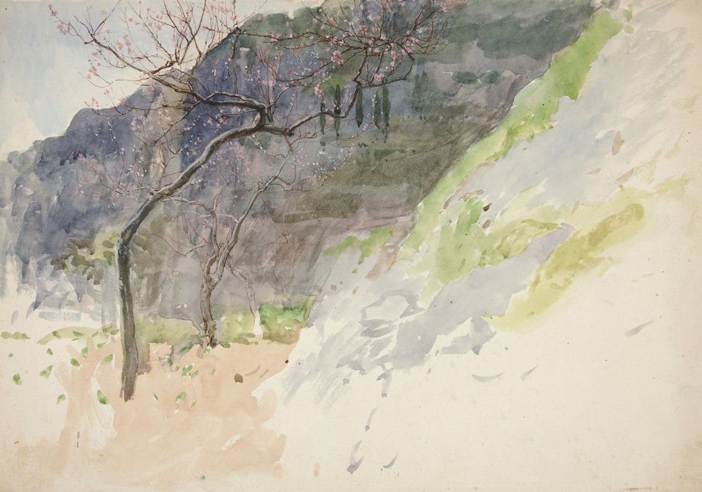 Mountainous landscape with budding trees